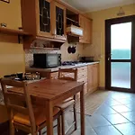 Il Pettirosso