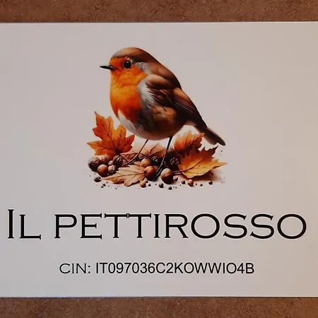 ゲストハウス Il Pettirosso 3*