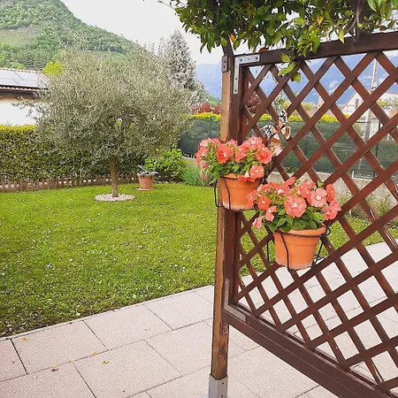 Il Pettirosso Guest house *